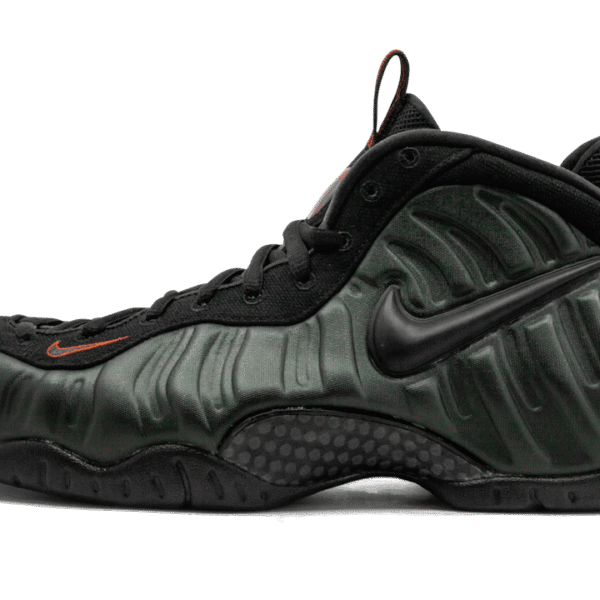 Air Foamposite Pro "Sequoia"