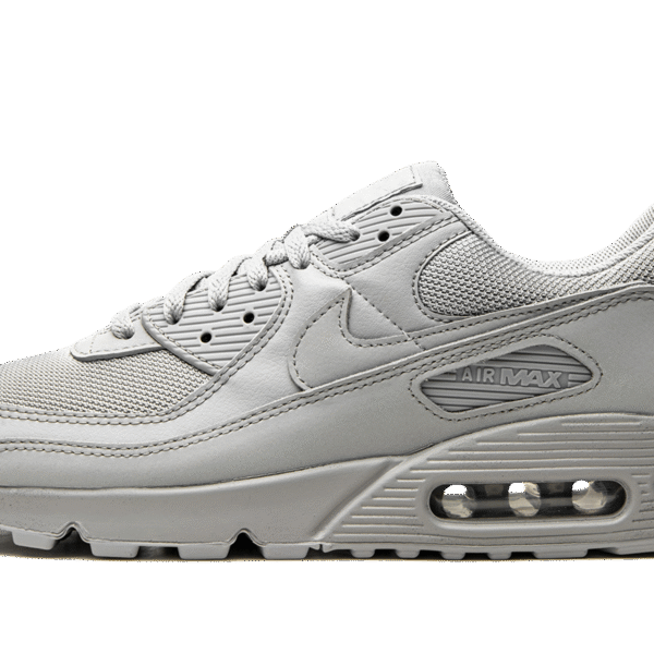 Air Max 90 "Wolf Grey"
