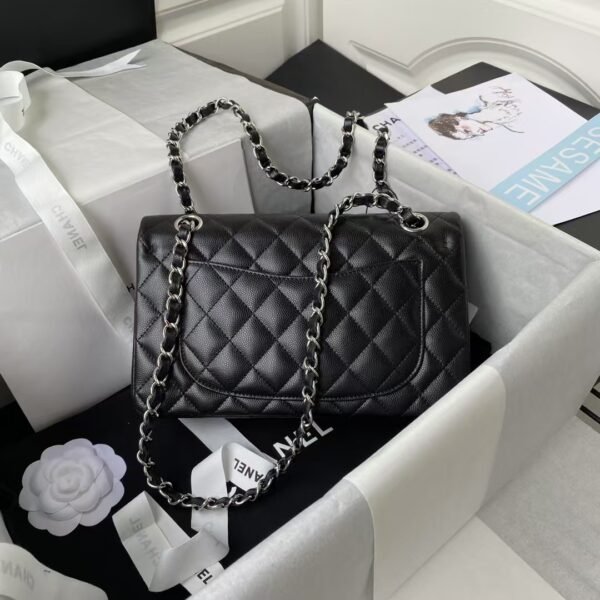 Chanel Small Classic Handbag Caviar Silver Hardware