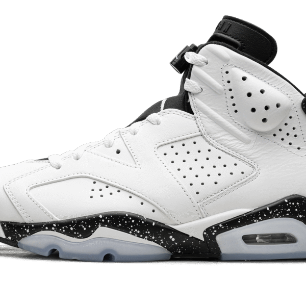 Air Jordan 6 "Reverse Oreo"