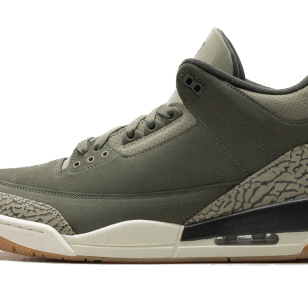 Air Jordan 3 "Family Affair"