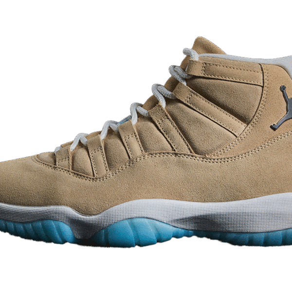 Air Jordan 11 "H-Town"