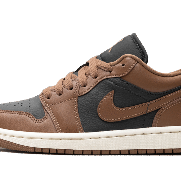 Air Jordan 1 "brown"